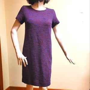 Ann Taylor Loft Petite Small Sweater Dress
